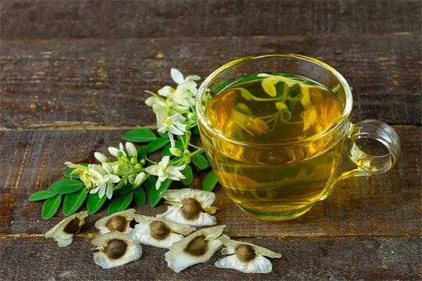 秋の花壇が寂しい…即効で華やかに！おすすめ植物6選