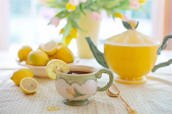 蜘蛛蜂は本当に怖い？知っておきたい生態と駆除の必要性
