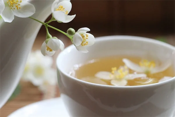 カイエンペッパーで害虫駆除！実体験から学ぶ効果的な使い方と注意点
