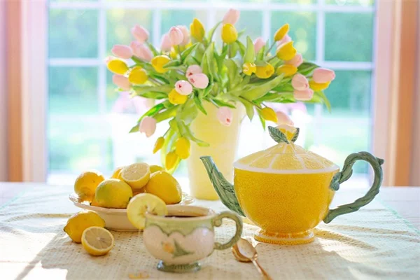 緑色の花は本当にある？初心者向け育て方とおすすめ品種7選